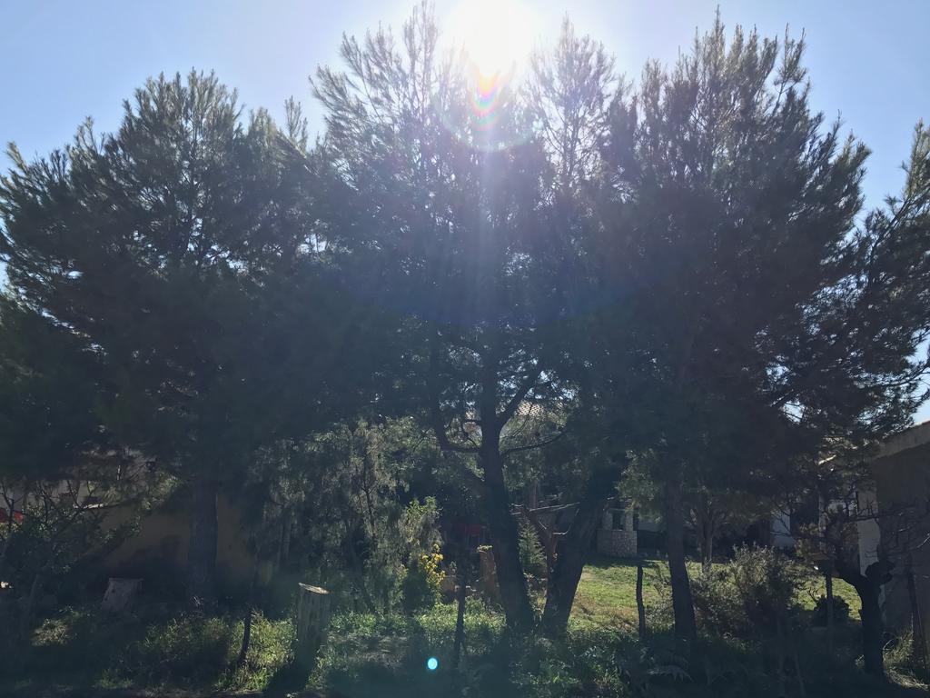 Casa Rural La Granja Letur Bagian luar foto